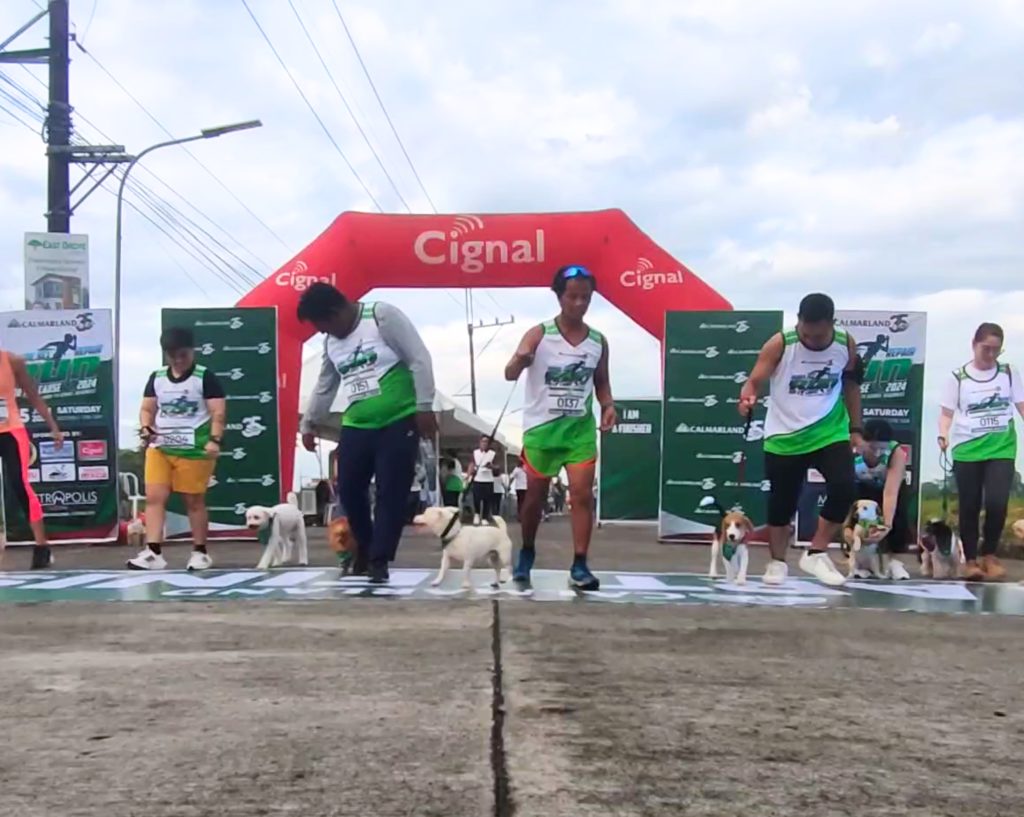 Participants with their dogs at the starting line of the Calmar Land Fun Run 2024 event.